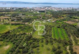 ÇANAKKALE LAPSEKİ ÇARDAK'TA YOLU OLAN SATILIK 3490 M2 BAĞ - 5 - 349500