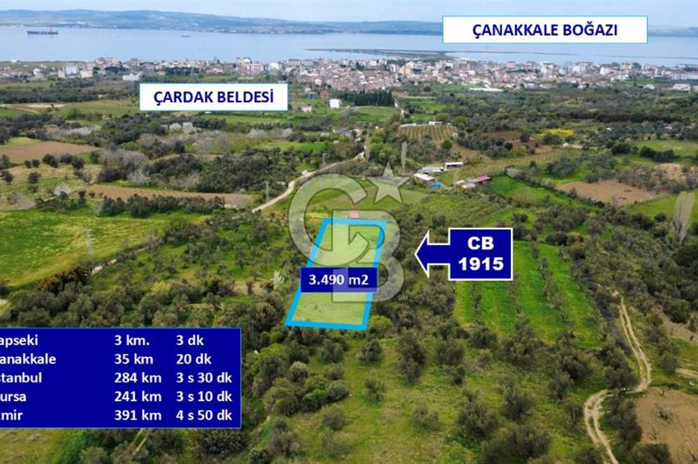 ÇANAKKALE LAPSEKİ ÇARDAK'TA YOLU OLAN SATILIK 3490 M2 BAĞ