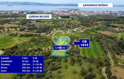 ÇANAKKALE LAPSEKİ ÇARDAK'TA YOLU OLAN SATILIK 3490 M2 BAĞ