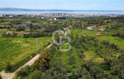 ÇANAKKALE LAPSEKİ ÇARDAK'TA YOLU OLAN SATILIK 3490 M2 BAĞ