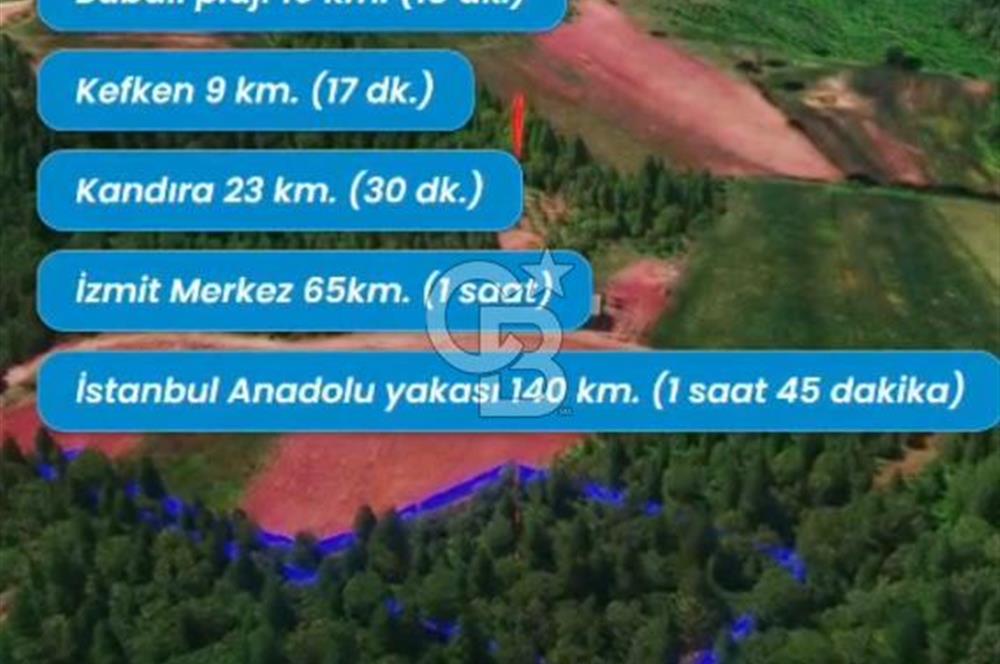 KOCAELİ / KANDIRA'DA SATILIK TEK TAPULU FINDIKLIK