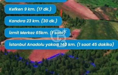 KOCAELİ / KANDIRA'DA SATILIK TEK TAPULU FINDIKLIK