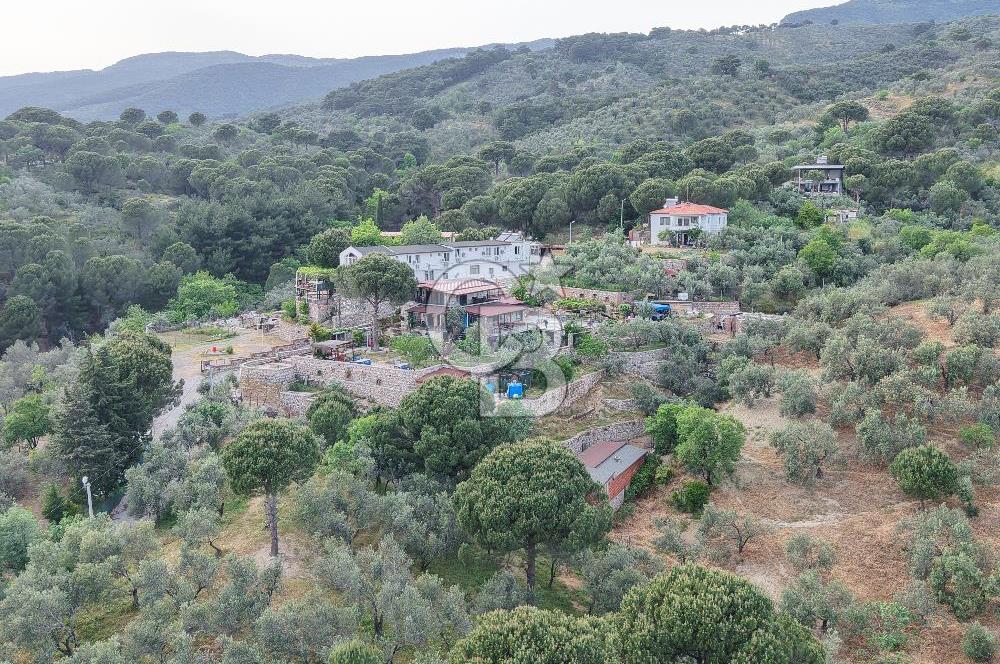 Kazdağlarında Satılık Özel Tesis