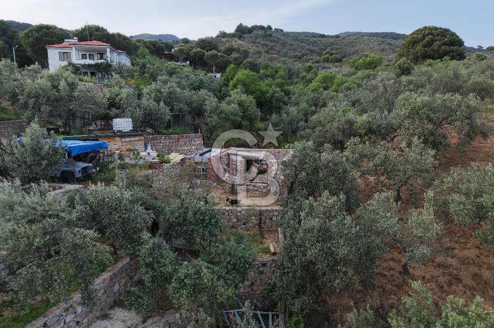 Kazdağlarında Satılık Özel Tesis