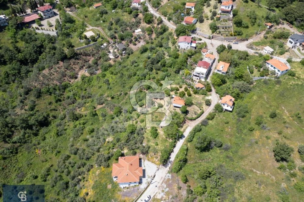 Çanakkale Ayvacık Küçükçetmi Köyü 3798 M2 Köy İçi İmarlı Arsa!