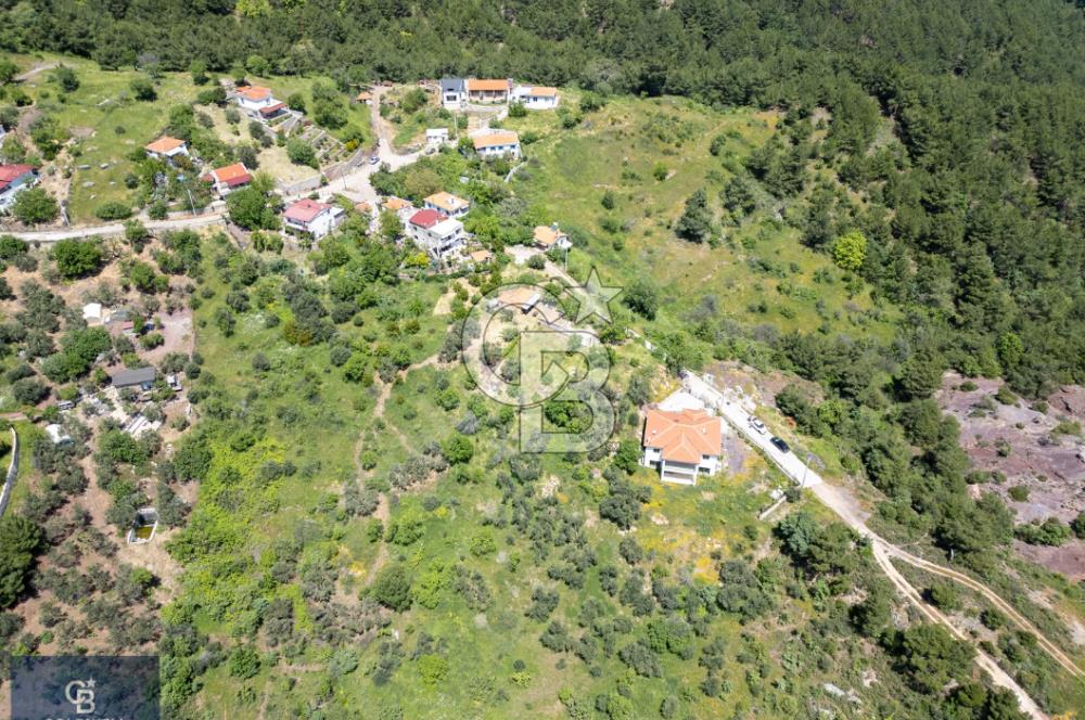 Çanakkale Ayvacık Küçükçetmi Köyü 3798 M2 Köy İçi İmarlı Arsa!