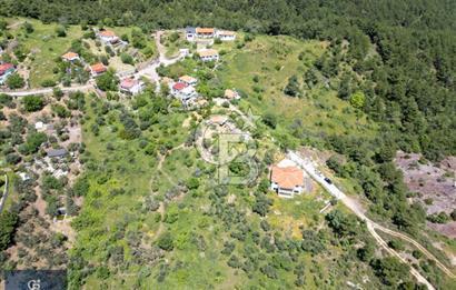 Çanakkale Ayvacık Küçükçetmi Köyü 3798 M2 Köy İçi İmarlı Arsa!