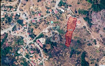 Çanakkale Ayvacık Küçükçetmi Köyü 3798 M2 Köy İçi İmarlı Arsa!