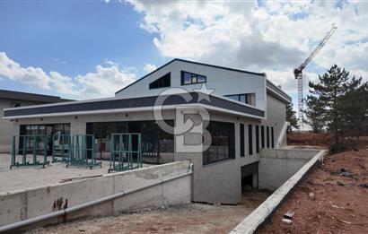 Beytepe’de 777 m² Net Kullanım Alanlı, Geniş Bahçeli Natamam Villa
