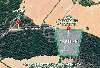 BEYPAZARI'NDA YATIRIMLIK 10.585 MT2 YOL CEPHELİ KÖYE 950 MT - 10 - 349582