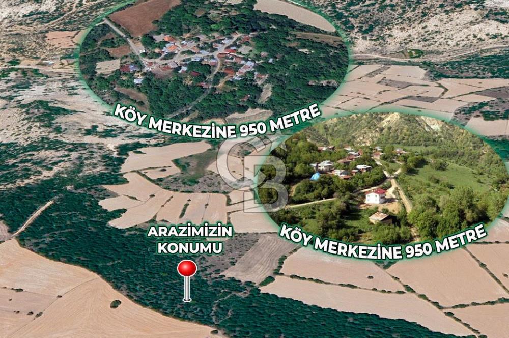BEYPAZARI'NDA YATIRIMLIK 10.585 MT2 YOL CEPHELİ KÖYE 950 MT