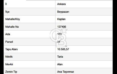 BEYPAZARI'NDA YATIRIMLIK 10.585 MT2 YOL CEPHELİ KÖYE 950 MT