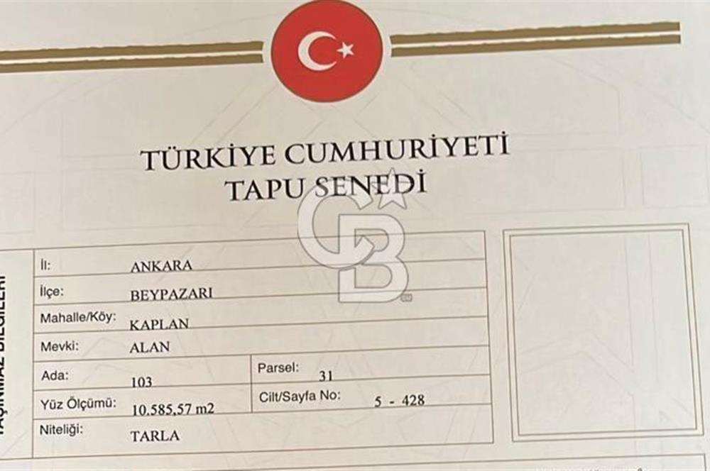 BEYPAZARI'NDA YATIRIMLIK 10.585 MT2 YOL CEPHELİ KÖYE 950 MT