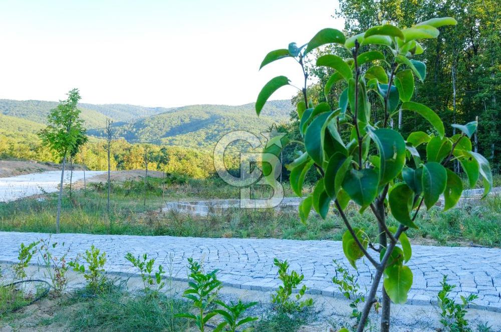 NEF İĞNEADA'DA DOĞAYLA İÇ İÇE VİLLA İMARLI FIRSAT ARSA