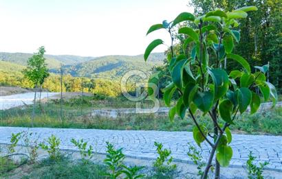 NEF İĞNEADA'DA DOĞAYLA İÇ İÇE VİLLA İMARLI FIRSAT ARSA