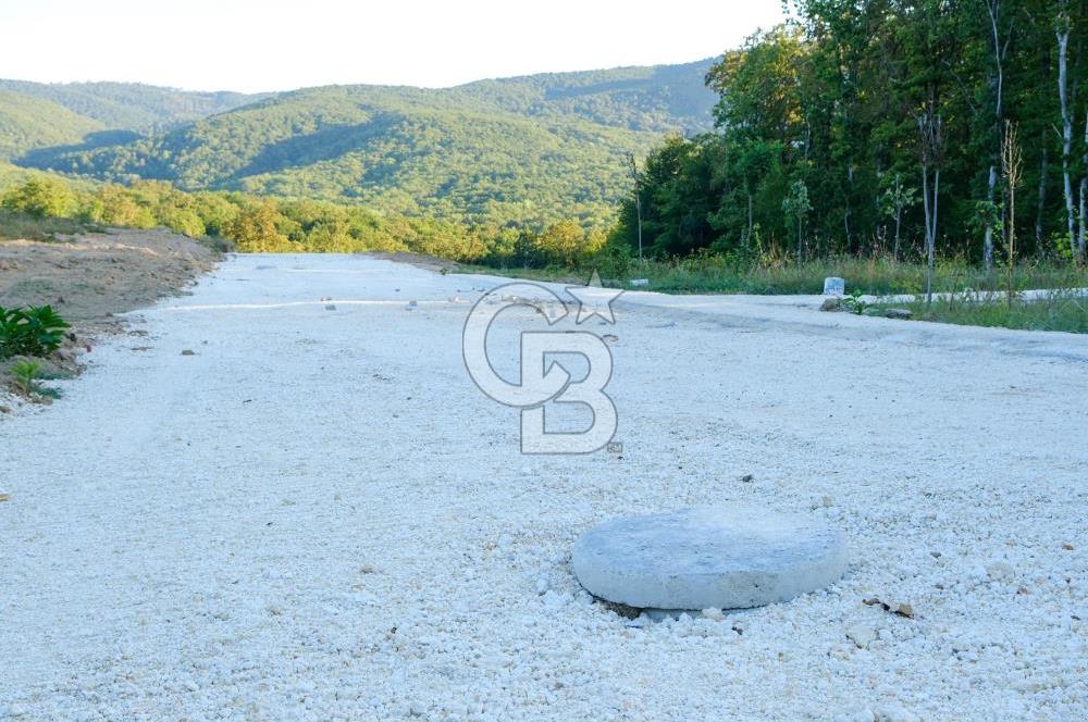 NEF İĞNEADA'DA DOĞAYLA İÇ İÇE VİLLA İMARLI FIRSAT ARSA