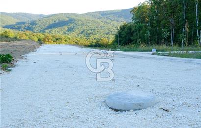 NEF İĞNEADA'DA DOĞAYLA İÇ İÇE VİLLA İMARLI FIRSAT ARSA