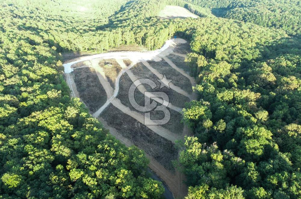 NEF İĞNEADA'DA DOĞAYLA İÇ İÇE VİLLA İMARLI FIRSAT ARSA