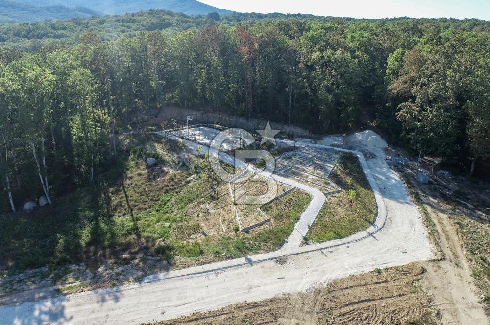 NEF İĞNEADA'DA DOĞAYLA İÇ İÇE VİLLA İMARLI FIRSAT ARSA