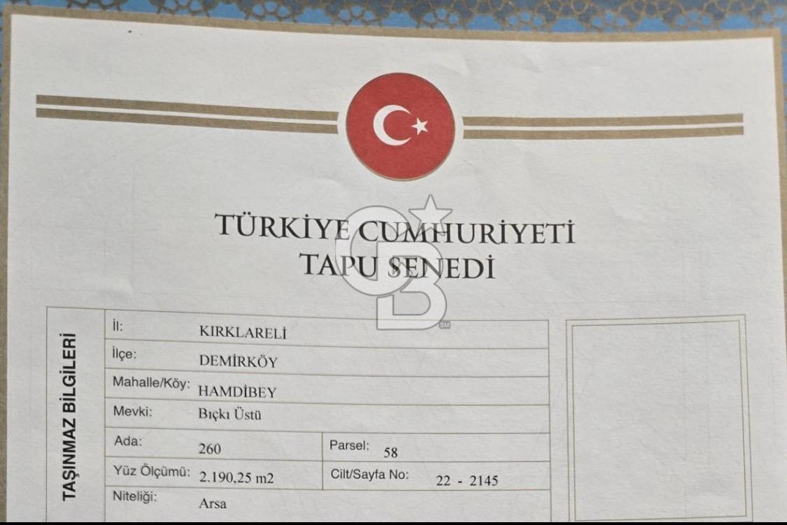 NEF İĞNEADA'DA DOĞAYLA İÇ İÇE VİLLA İMARLI FIRSAT ARSA