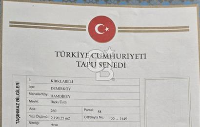 NEF İĞNEADA'DA DOĞAYLA İÇ İÇE VİLLA İMARLI FIRSAT ARSA
