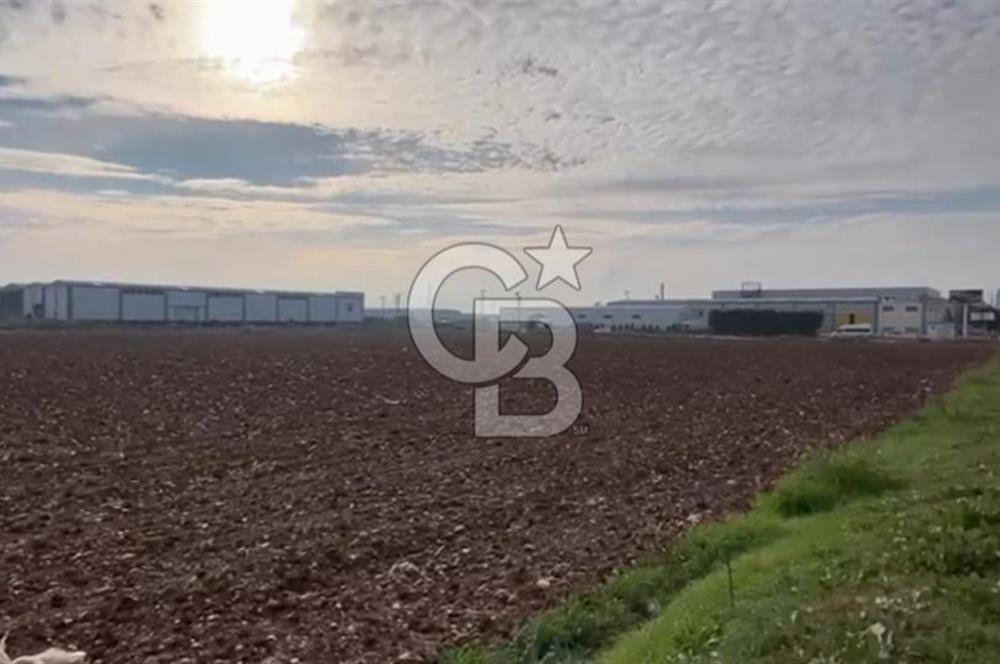 İzmir Torbalı Ayrancılar'da 16.000 m² Sanayi İmarlı Satılık Arsa