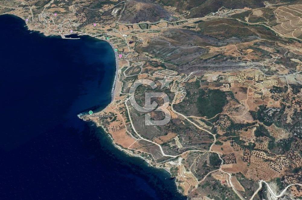Karaburun Tepebozda Denize Sıfır 14 Dönüm Tarla
