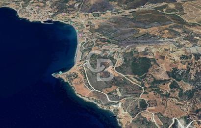 Karaburun Tepebozda Denize Sıfır 14 Dönüm Tarla