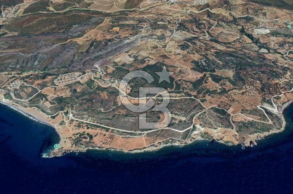 Karaburun Tepebozda Denize Sıfır 14 Dönüm Tarla