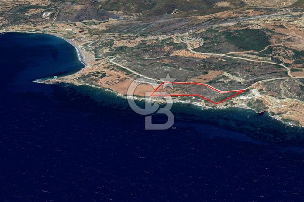 Karaburun Tepebozda Denize Sıfır 14 Dönüm Tarla