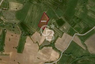 Satılık 6.266 m2 Tarla. Kırklareli Pınarhisar’da uygun fiyatlı yatırım fırsatı. - 10 - 344108