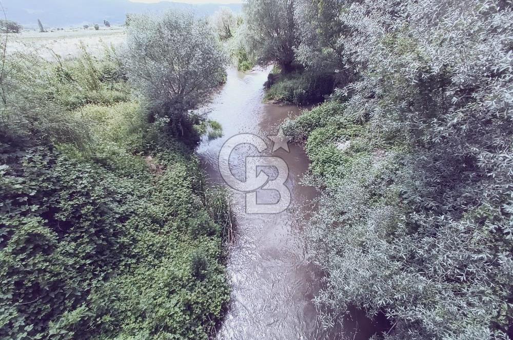 CB Leader'den Sındırgı Alacaatlı'da satılık Ceviz Tarlası