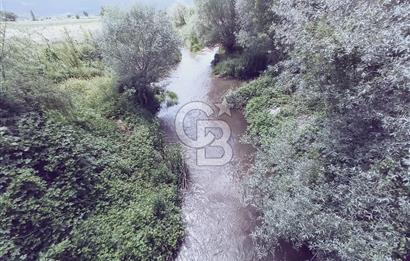 CB Leader'den Sındırgı Alacaatlı'da satılık Ceviz Tarlası