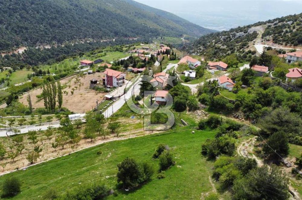 BEŞPINAR DA KÖY MERKEZİNDE TEK TAPU 12385 M2 EMSALSİZ SATILIK TARLA 