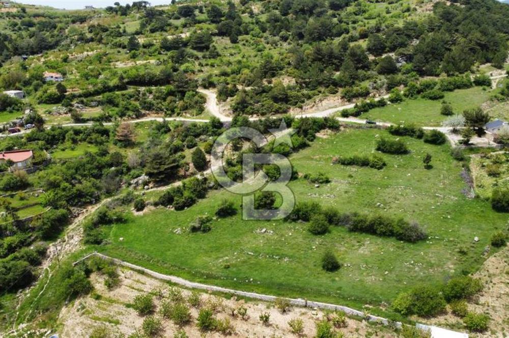 BEŞPINAR DA KÖY MERKEZİNDE TEK TAPU 12385 M2 EMSALSİZ SATILIK TARLA 