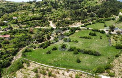 BEŞPINAR DA KÖY MERKEZİNDE TEK TAPU 12385 M2 EMSALSİZ SATILIK TARLA 