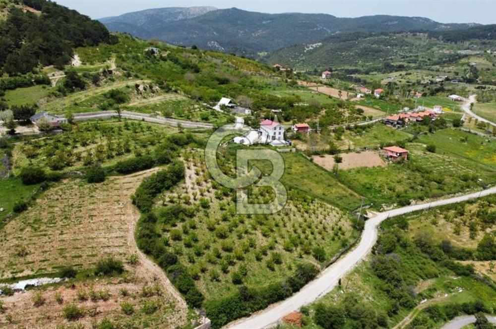 BEŞPINAR DA KÖY MERKEZİNDE TEK TAPU 12385 M2 EMSALSİZ SATILIK TARLA 