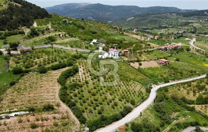 BEŞPINAR DA KÖY MERKEZİNDE TEK TAPU 12385 M2 EMSALSİZ SATILIK TARLA 