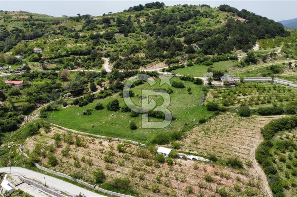 BEŞPINAR DA KÖY MERKEZİNDE TEK TAPU 12385 M2 EMSALSİZ SATILIK TARLA 