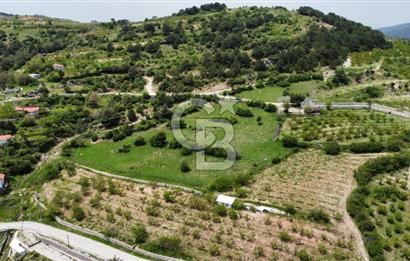 BEŞPINAR DA KÖY MERKEZİNDE TEK TAPU 12385 M2 EMSALSİZ SATILIK TARLA 