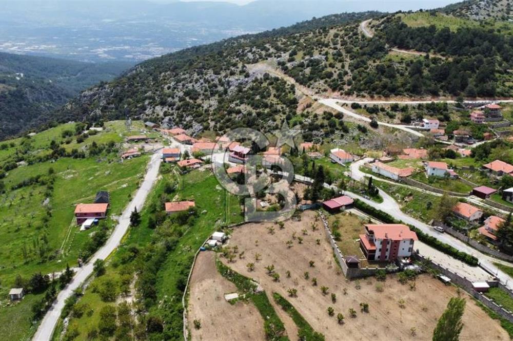 BEŞPINAR DA KÖY MERKEZİNDE TEK TAPU 12385 M2 EMSALSİZ SATILIK TARLA 