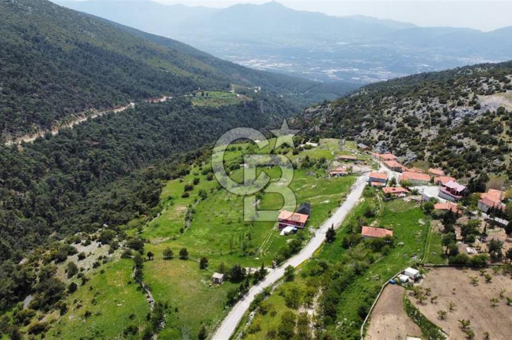 BEŞPINAR DA KÖY MERKEZİNDE TEK TAPU 12385 M2 EMSALSİZ SATILIK TARLA 