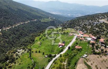 BEŞPINAR DA KÖY MERKEZİNDE TEK TAPU 12385 M2 EMSALSİZ SATILIK TARLA 