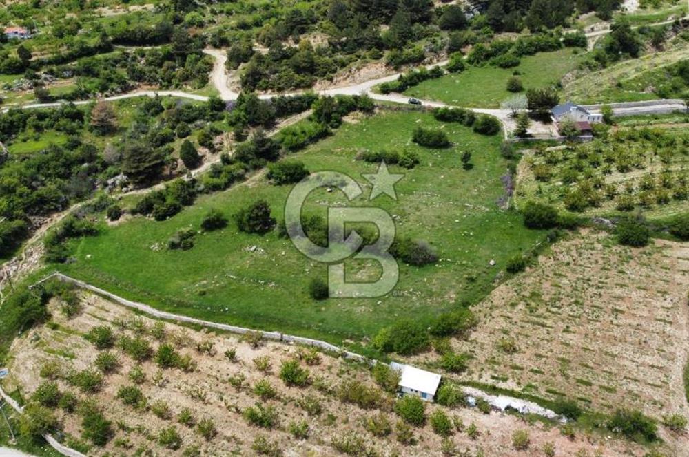 BEŞPINAR DA KÖY MERKEZİNDE TEK TAPU 12385 M2 EMSALSİZ SATILIK TARLA 