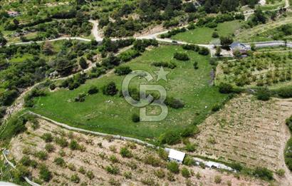 BEŞPINAR DA KÖY MERKEZİNDE TEK TAPU 12385 M2 EMSALSİZ SATILIK TARLA 