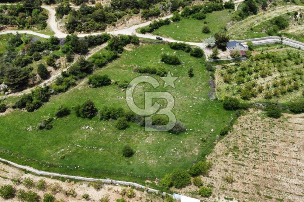 BEŞPINAR DA KÖY MERKEZİNDE TEK TAPU 12385 M2 EMSALSİZ SATILIK TARLA 