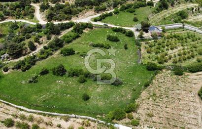 BEŞPINAR DA KÖY MERKEZİNDE TEK TAPU 12385 M2 EMSALSİZ SATILIK TARLA 