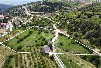 BEŞPINAR DA KÖY MERKEZİNDE TEK TAPU 12385 M2 EMSALSİZ SATILIK TARLA  - 8 - 349715