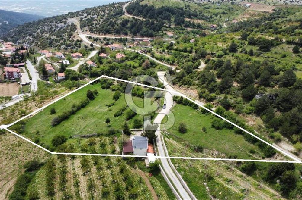 BEŞPINAR DA KÖY MERKEZİNDE TEK TAPU 12385 M2 EMSALSİZ SATILIK TARLA 