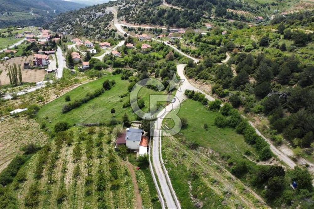 BEŞPINAR DA KÖY MERKEZİNDE TEK TAPU 12385 M2 EMSALSİZ SATILIK TARLA 